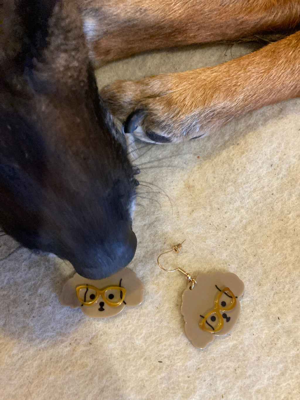 Boucles d’oreilles canines