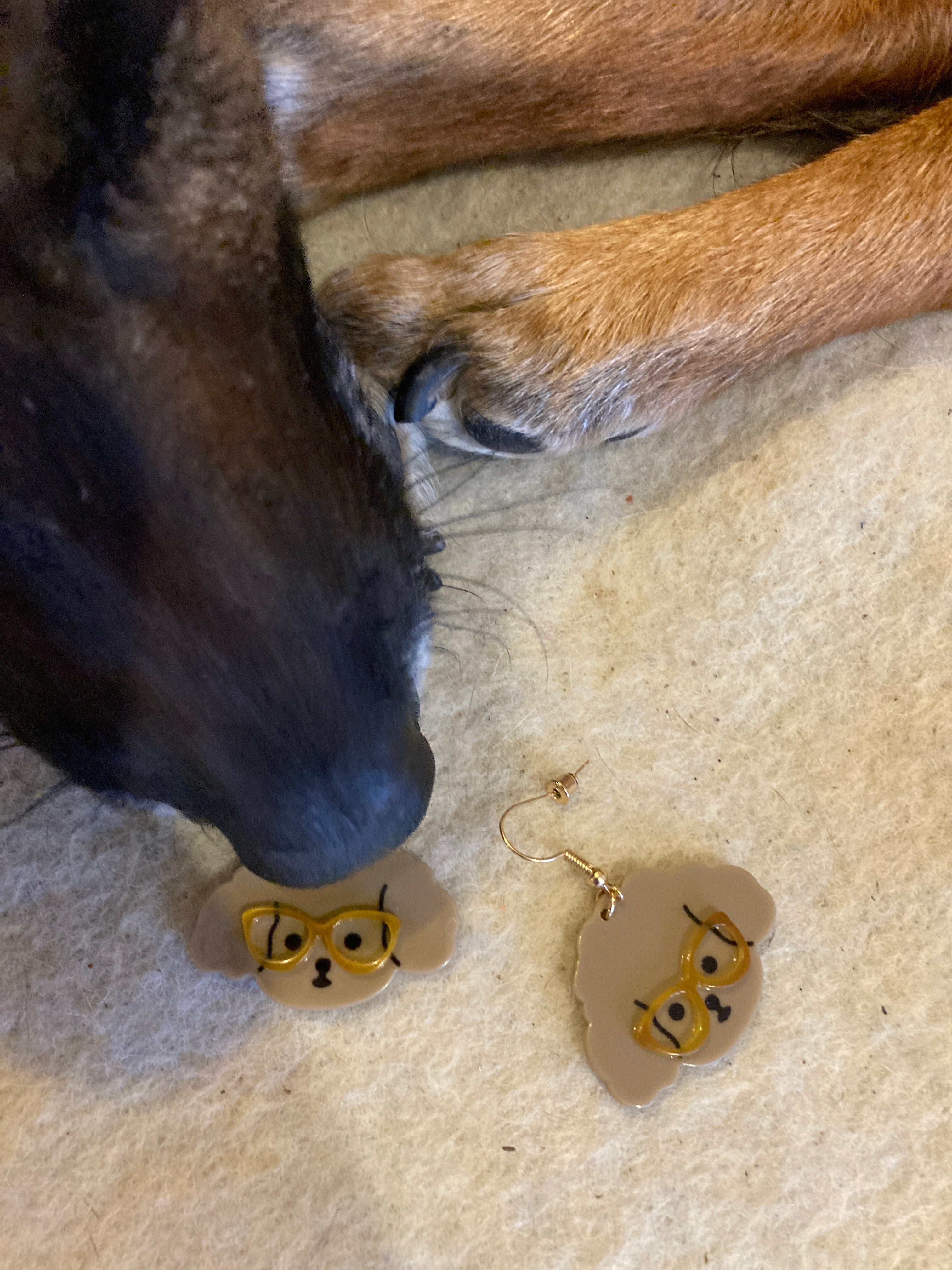 Boucles d’oreilles canines