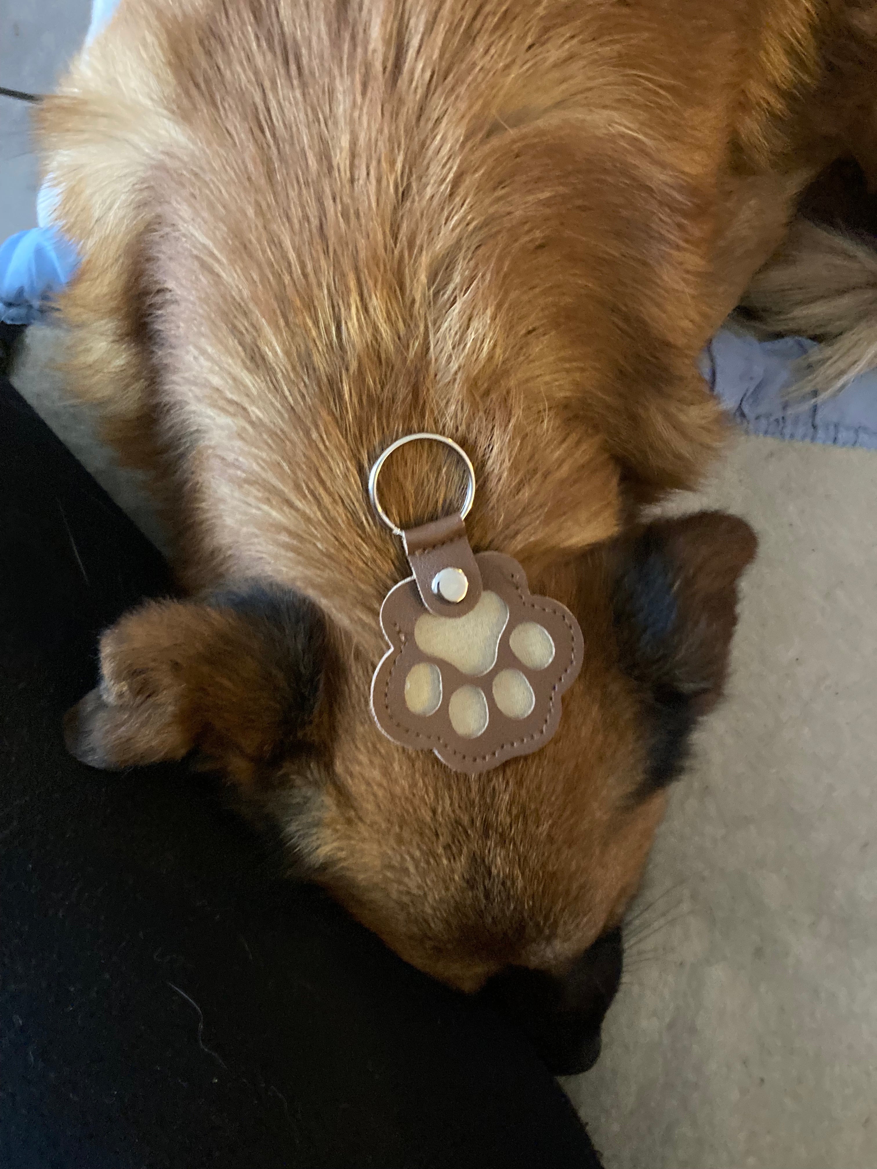 Porte-clés patte marron Souvenir de chien