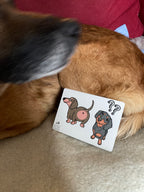 Carte parfumée canine