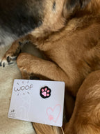 Carte spéciale canine