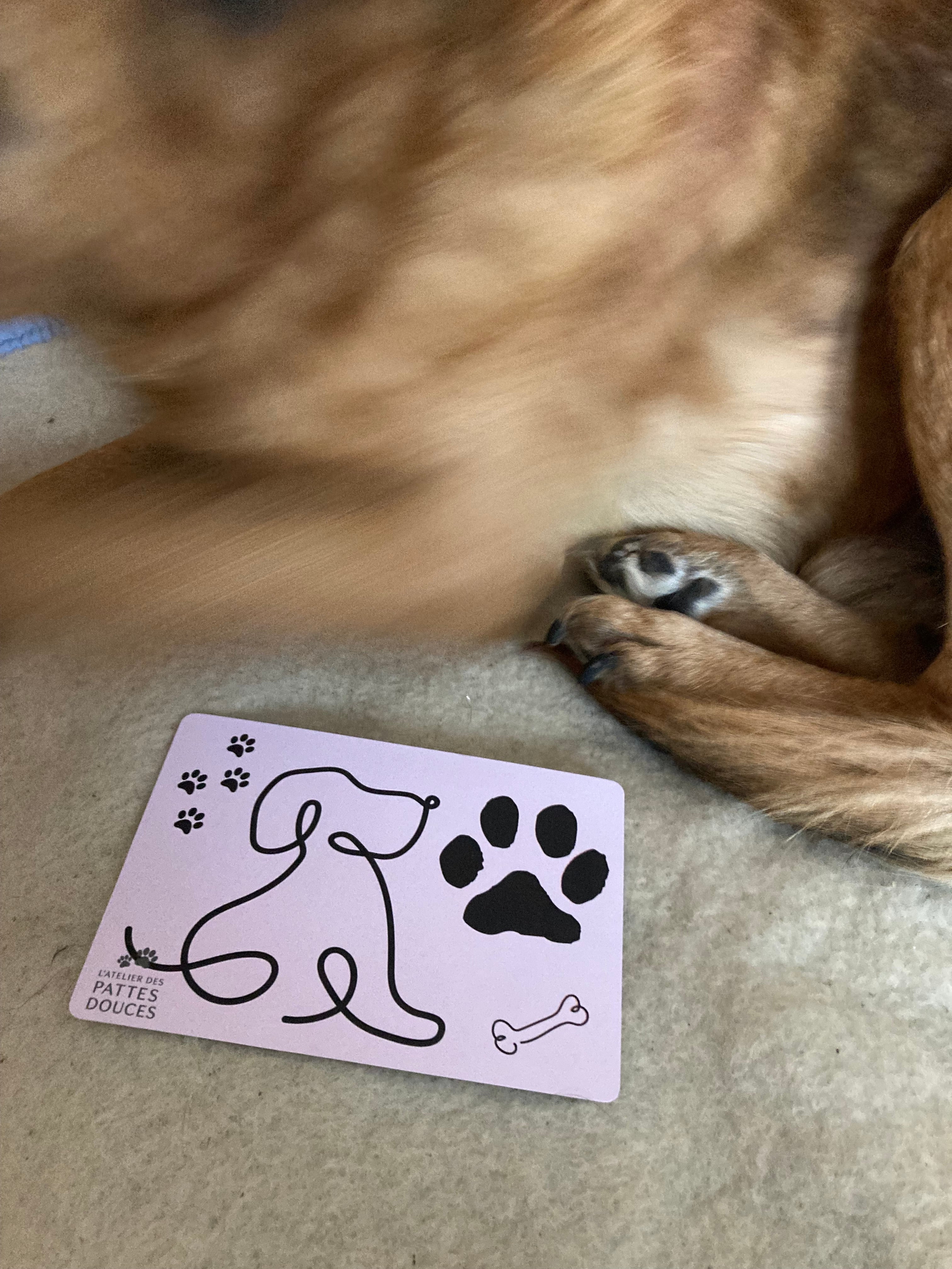 Carte parfumée canine