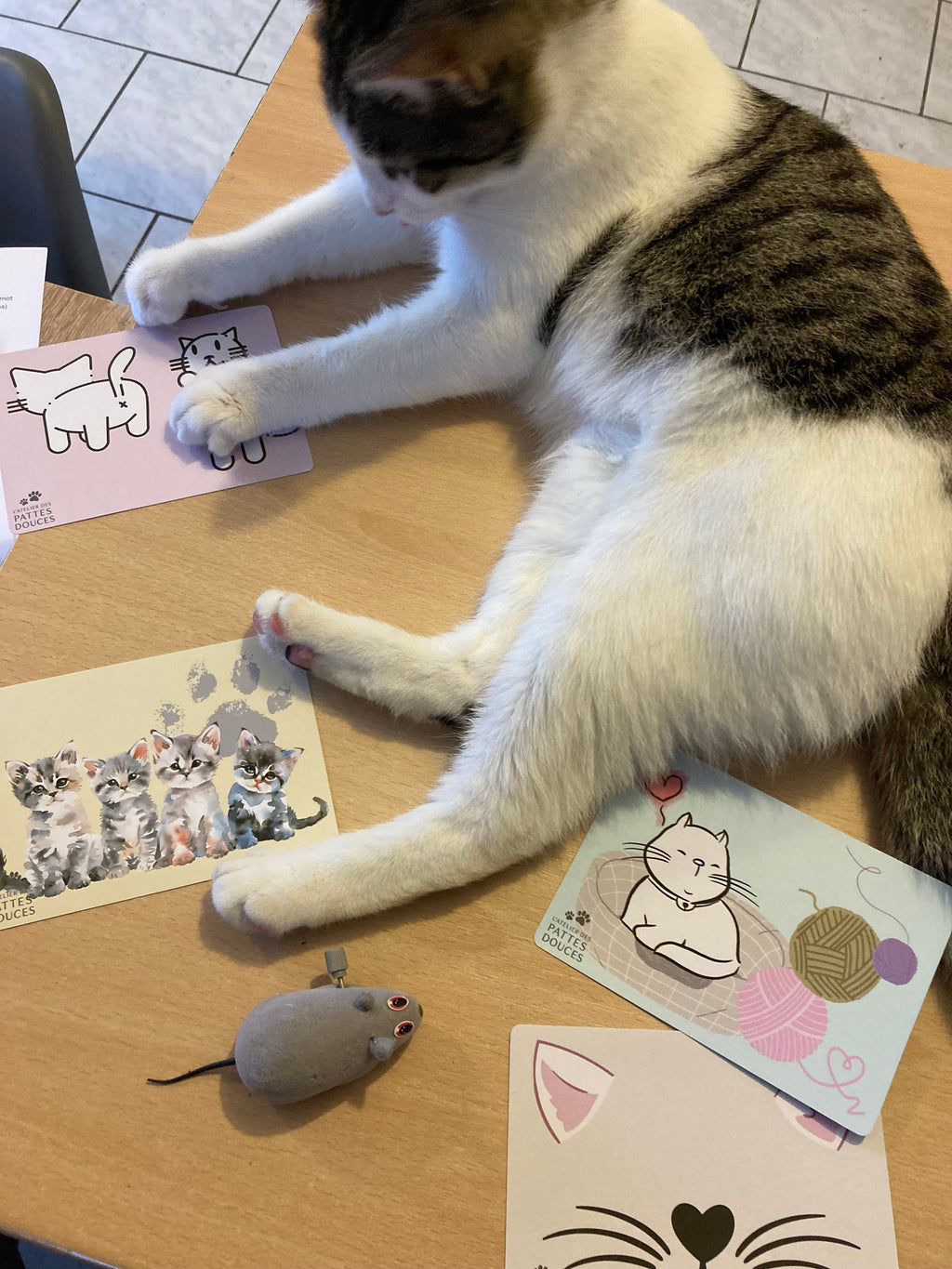 Carte parfumée féline