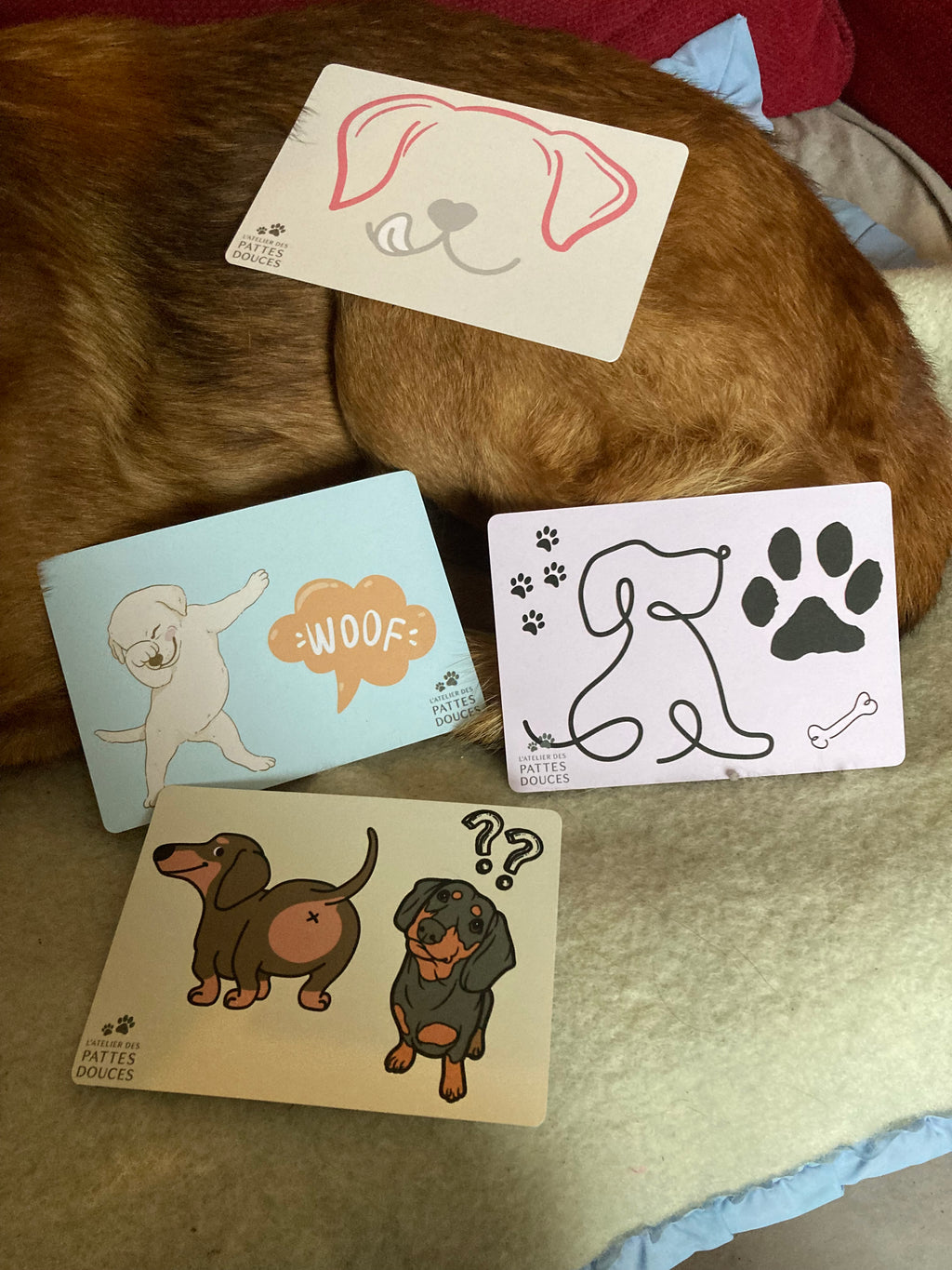 Carte parfumée canine