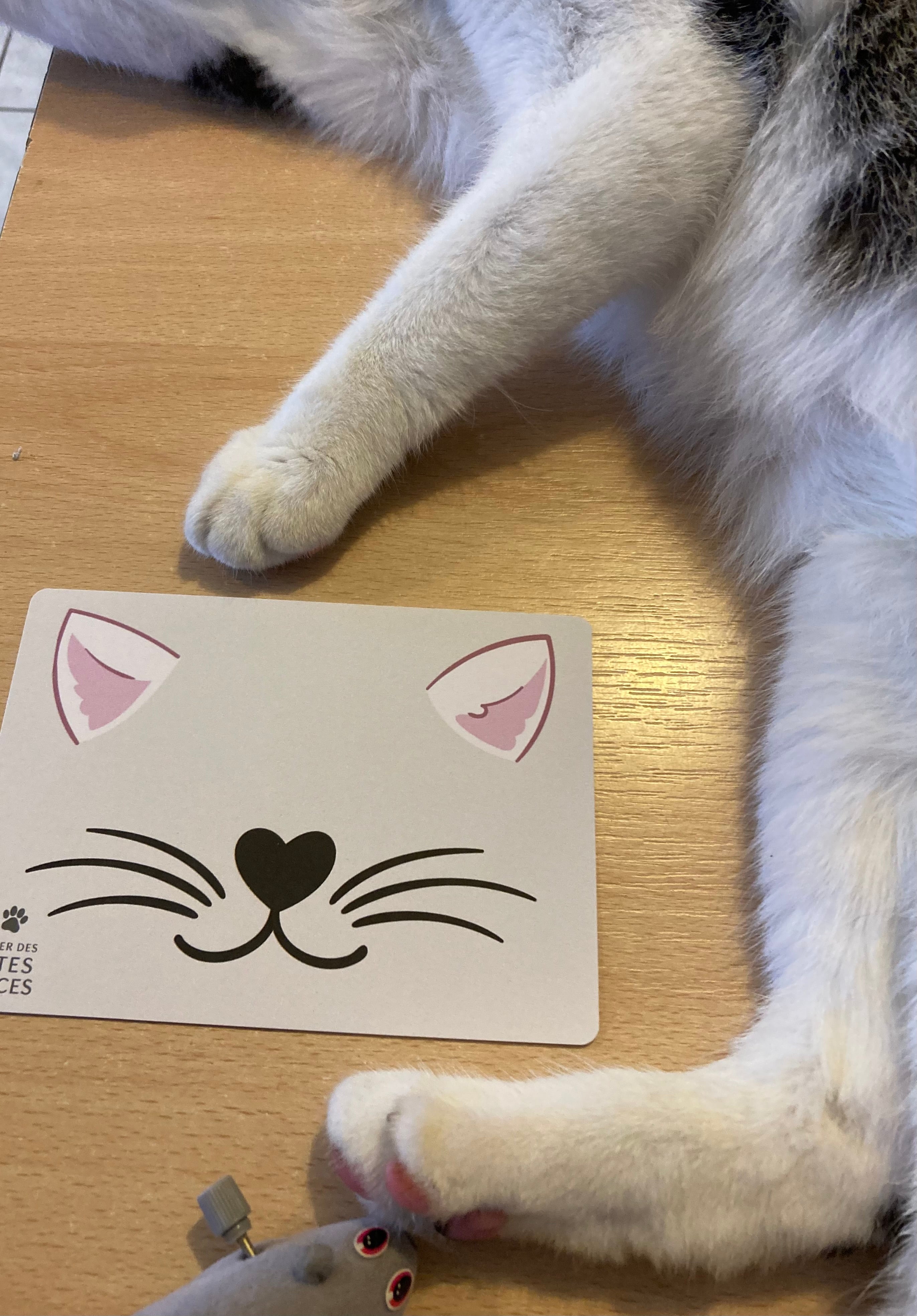 Carte parfumée féline