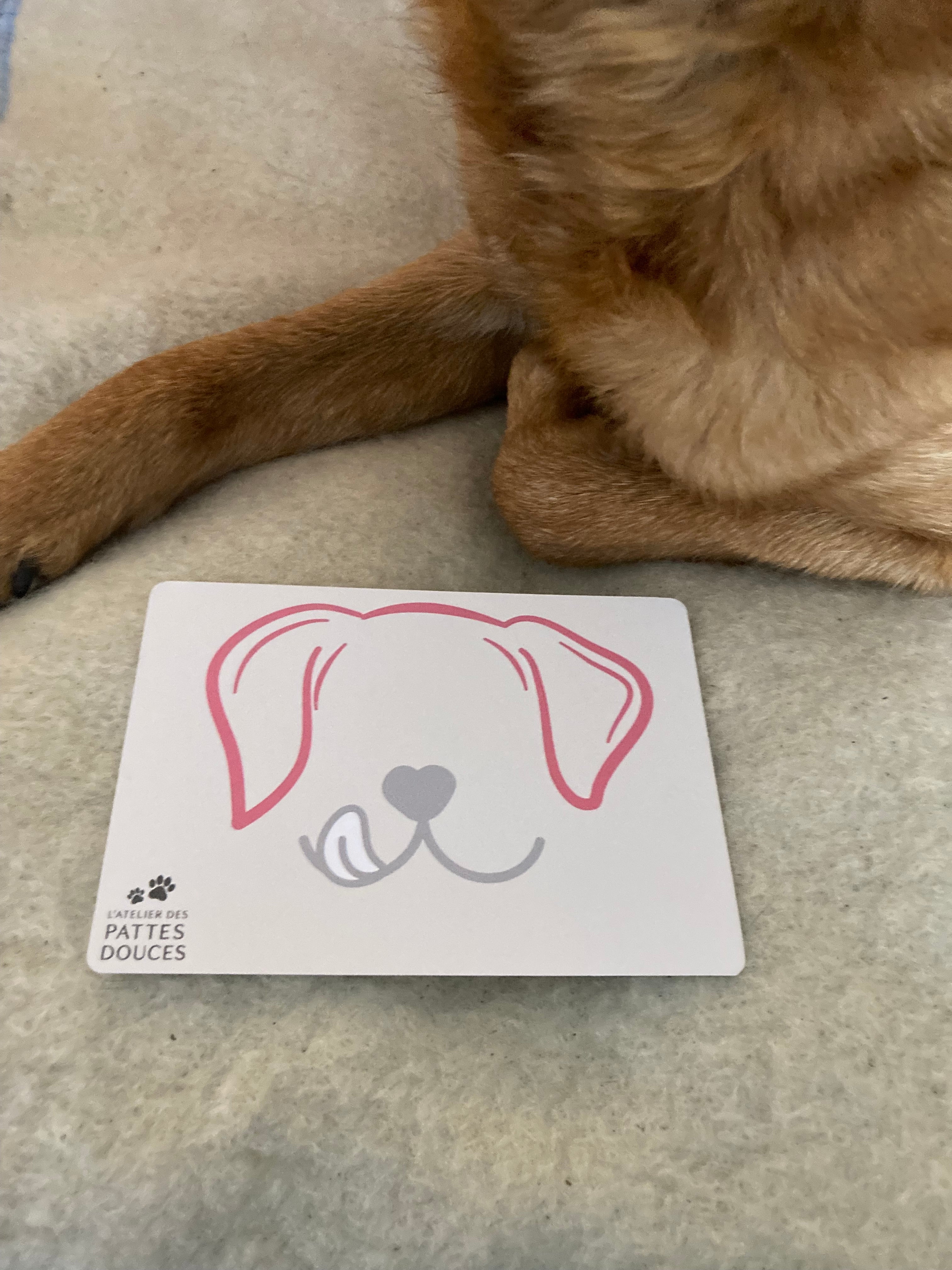 Carte parfumée canine