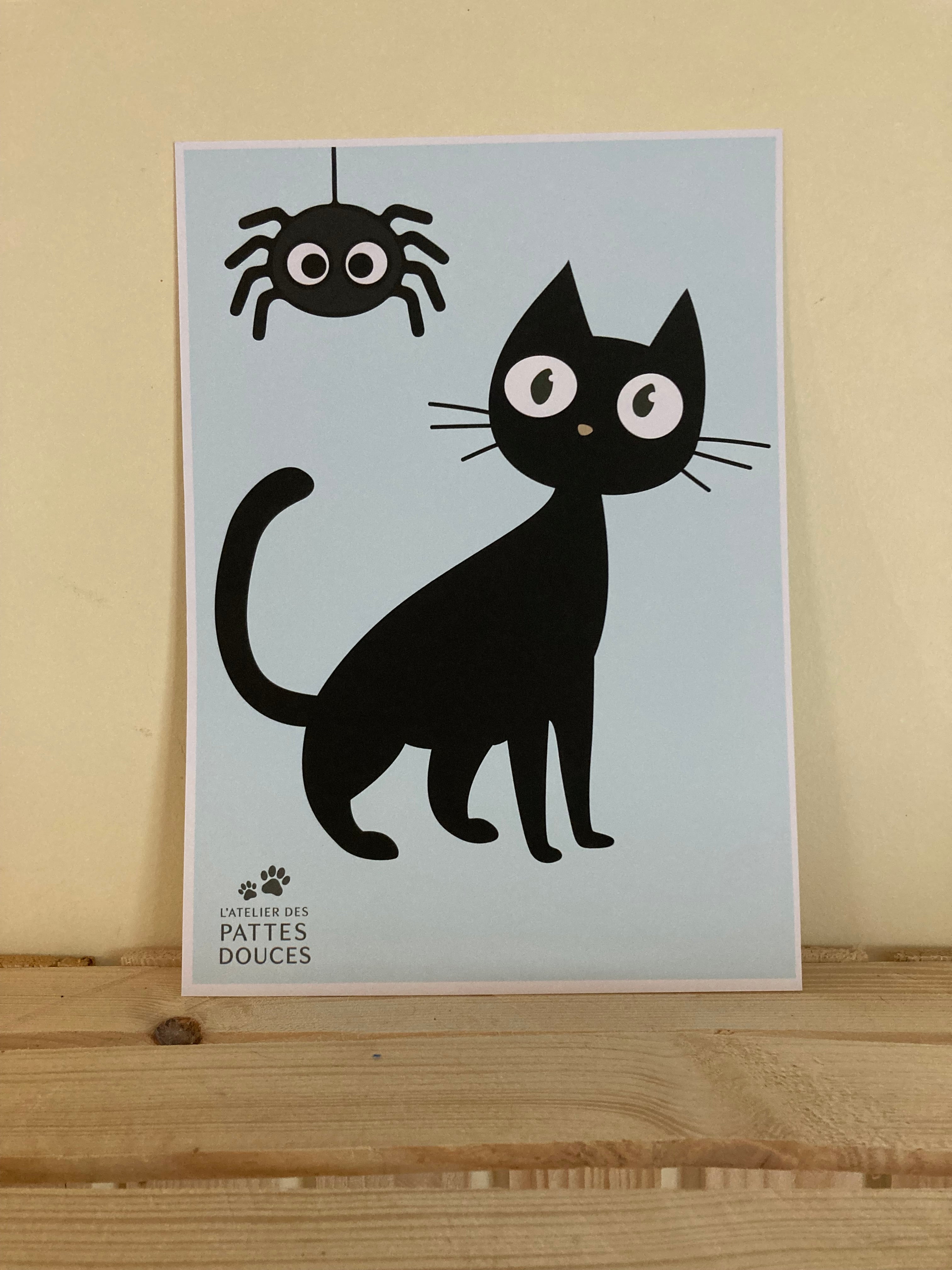 Affiche chat