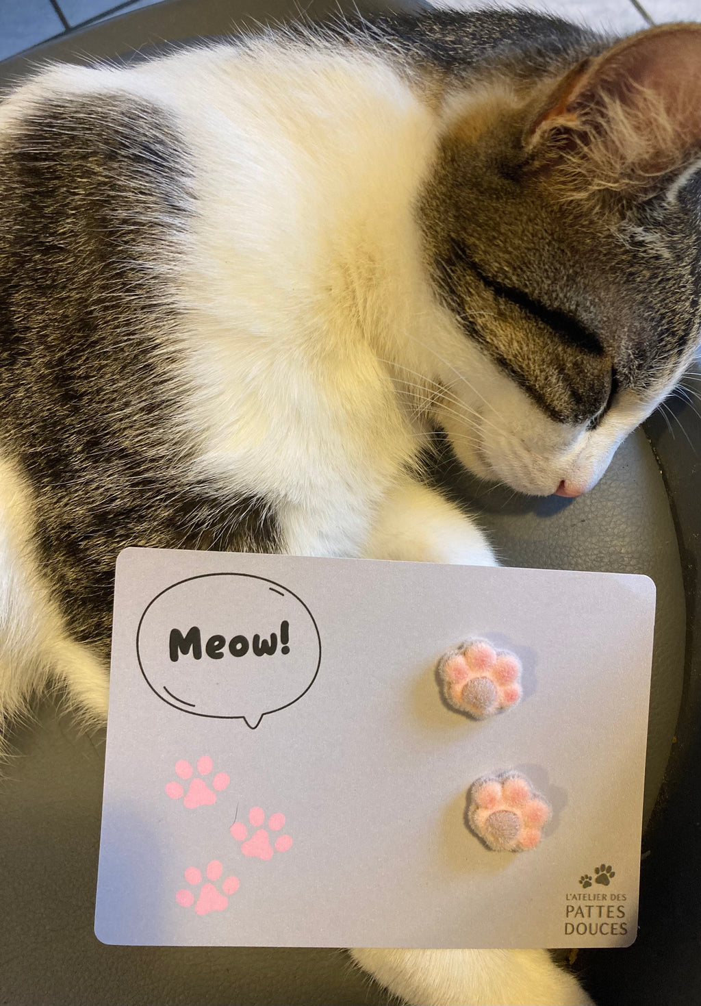 Carte spéciale féline