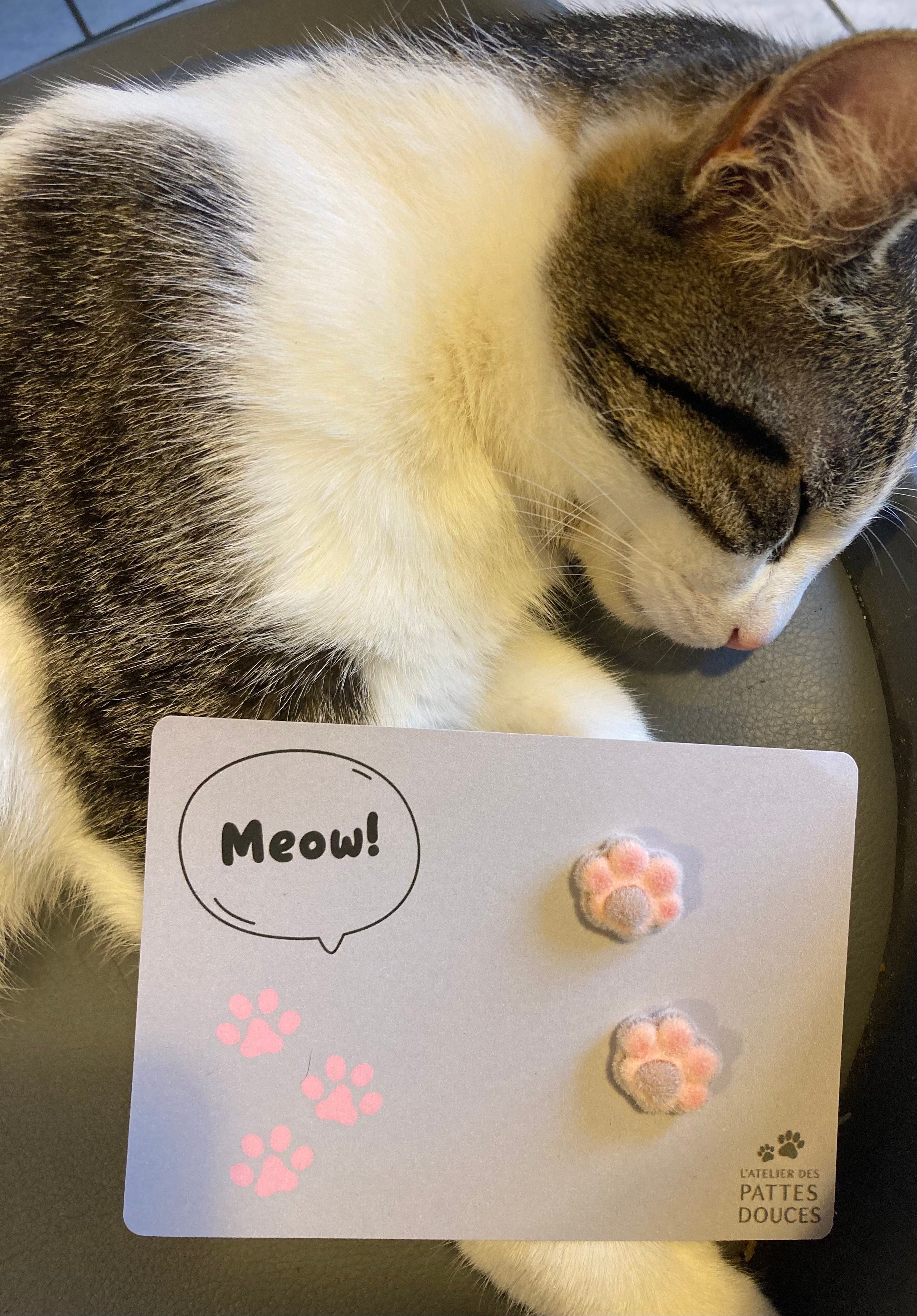 Carte spéciale féline